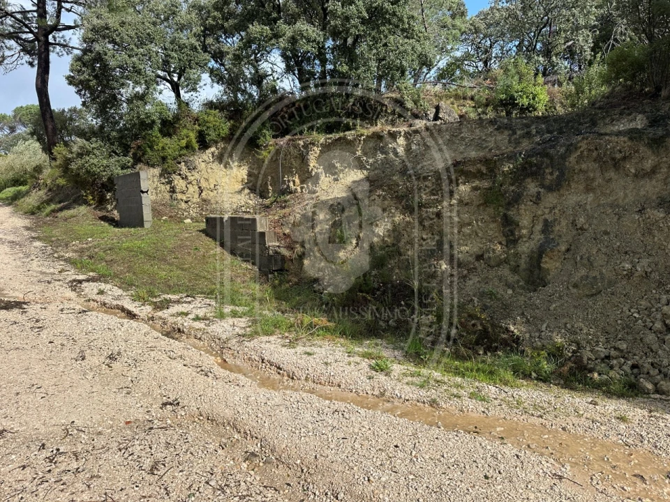 Terreno para Venda em Brogueira, Parceiros de Igreja e Alcorochel Foto 26