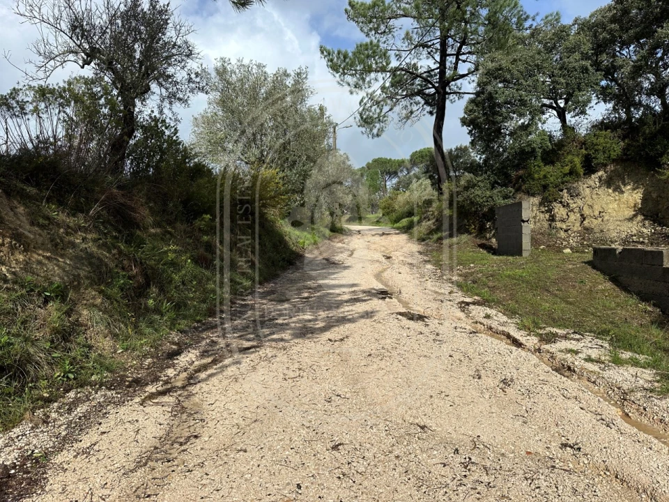 Terreno para Venda em Brogueira, Parceiros de Igreja e Alcorochel Foto 27