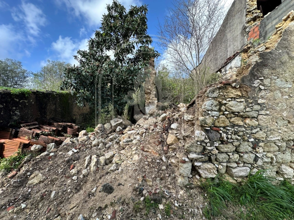 Terreno para Venda em Brogueira, Parceiros de Igreja e Alcorochel Foto 37