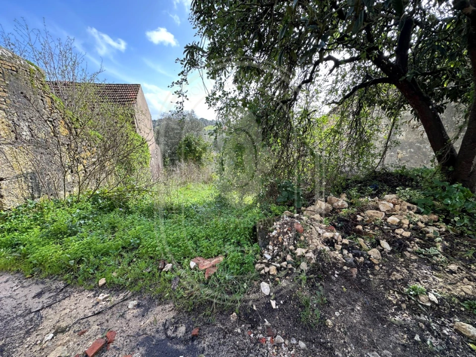 Terreno para Venda em Brogueira, Parceiros de Igreja e Alcorochel Foto 39