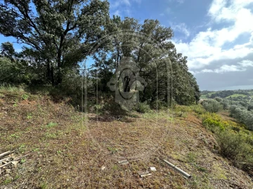 Terreno para Venda em Brogueira, Parceiros de Igreja e Alcorochel