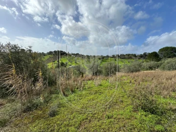 Terreno para Venda em Brogueira, Parceiros de Igreja e Alcorochel