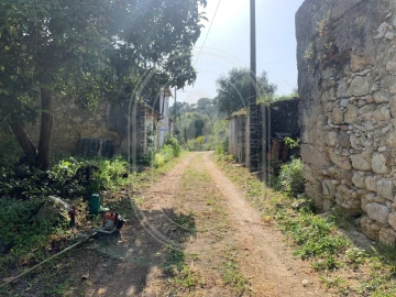 Terreno para Venda em Brogueira, Parceiros de Igreja e Alcorochel
