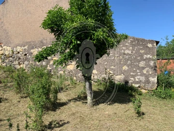 Terreno para Venda em Brogueira, Parceiros de Igreja e Alcorochel