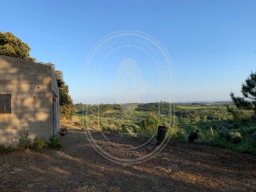 Terreno para Venda em Brogueira, Parceiros de Igreja e Alcorochel