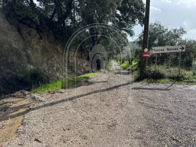 Terreno para Venda em Brogueira, Parceiros de Igreja e Alcorochel Foto 25