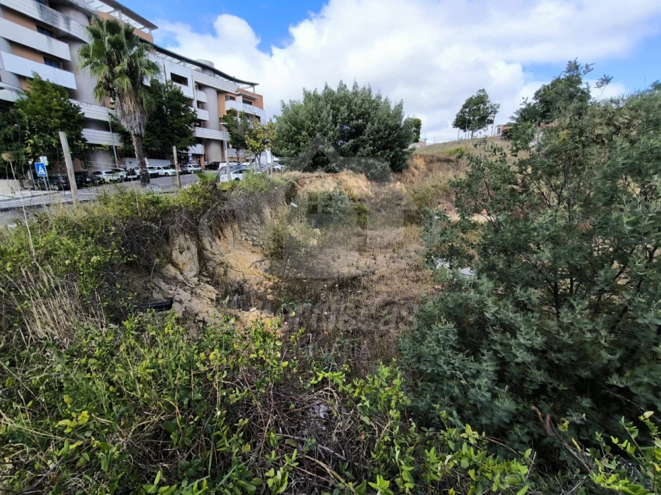 Terreno para Venda em Marvila, Ribeira Santarém, São Salvador, São Nicolau Foto 5