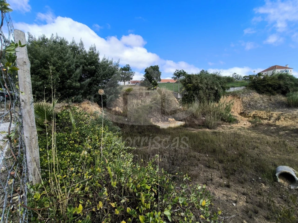 Terreno para Venda em Marvila, Ribeira Santarém, São Salvador, São Nicolau Foto 7
