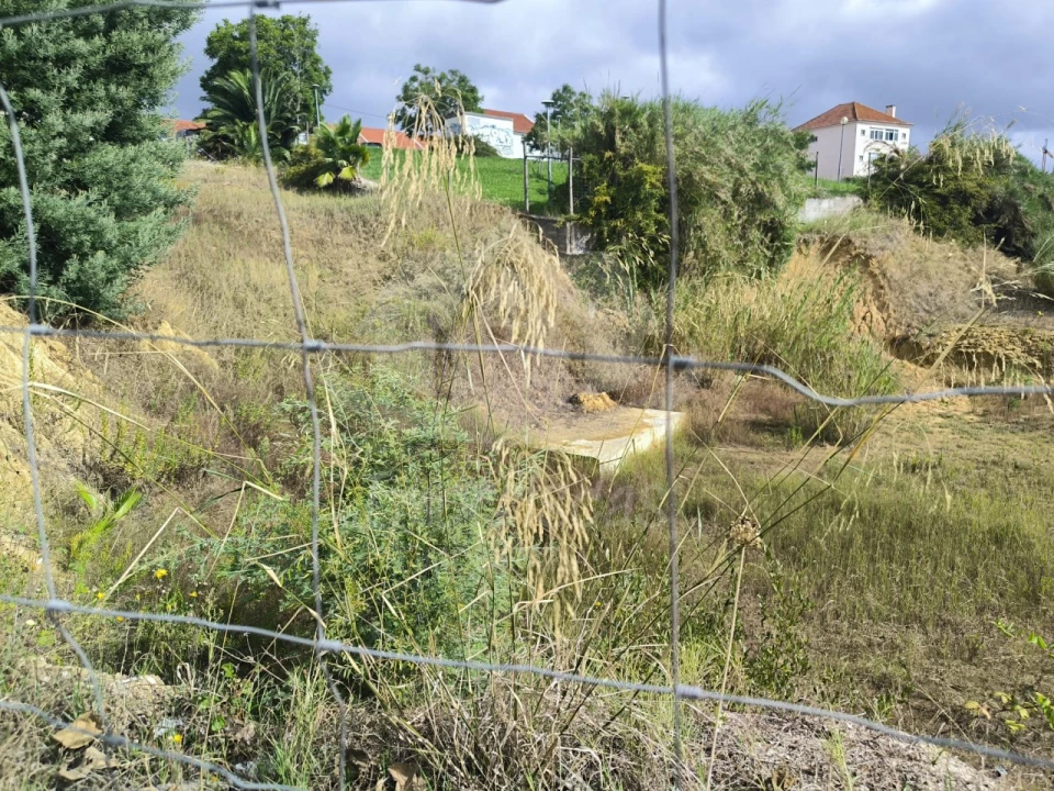 Terreno para Venda em Marvila, Ribeira Santarém, São Salvador, São Nicolau Foto 10