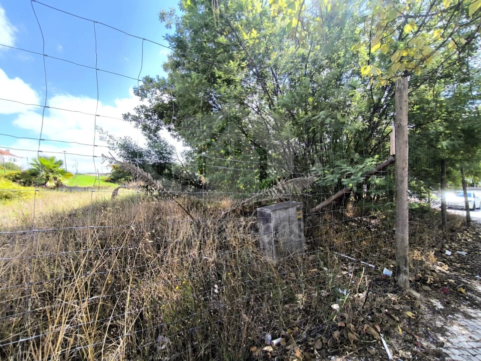 Terreno para Venda em Marvila, Ribeira Santarém, São Salvador, São Nicolau Foto 15