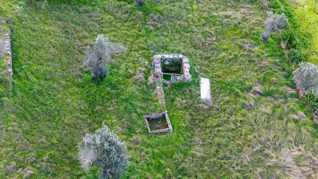 Terreno para Venda em Espírito Santo, Nossa Senhora da Graça e São Simão Foto 7