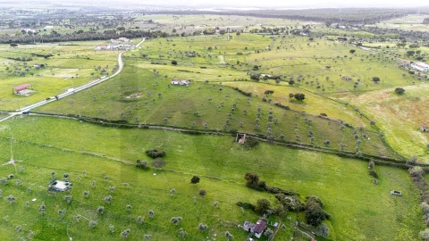 Terreno para Venda em Espírito Santo, Nossa Senhora da Graça e São Simão