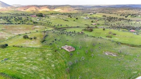 Terreno para Venda em Espírito Santo, Nossa Senhora da Graça e São Simão