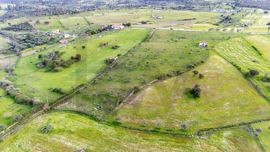 Terreno para Venda em Espírito Santo, Nossa Senhora da Graça e São Simão Foto 6