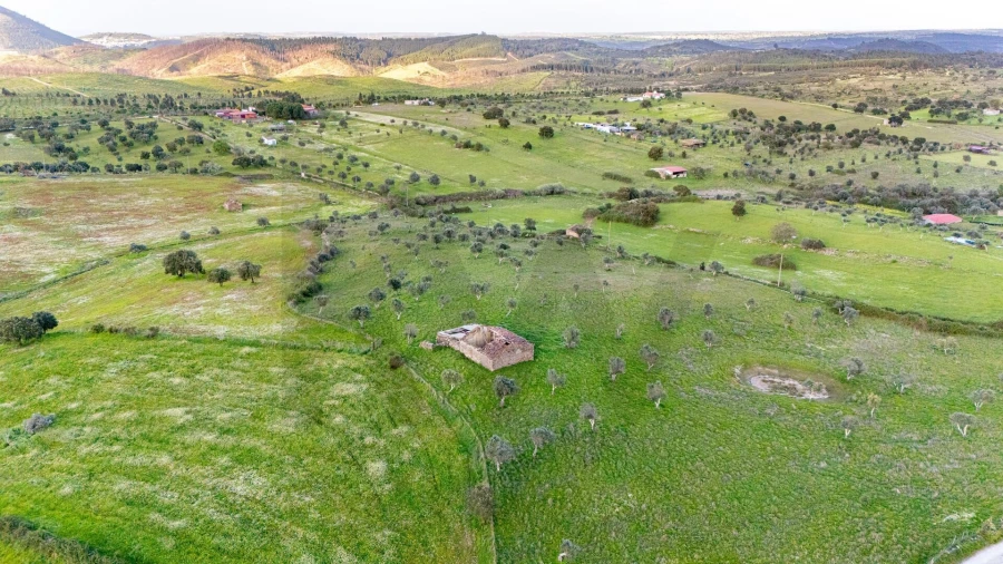 Terreno para Venda em Espírito Santo, Nossa Senhora da Graça e São Simão Foto 12
