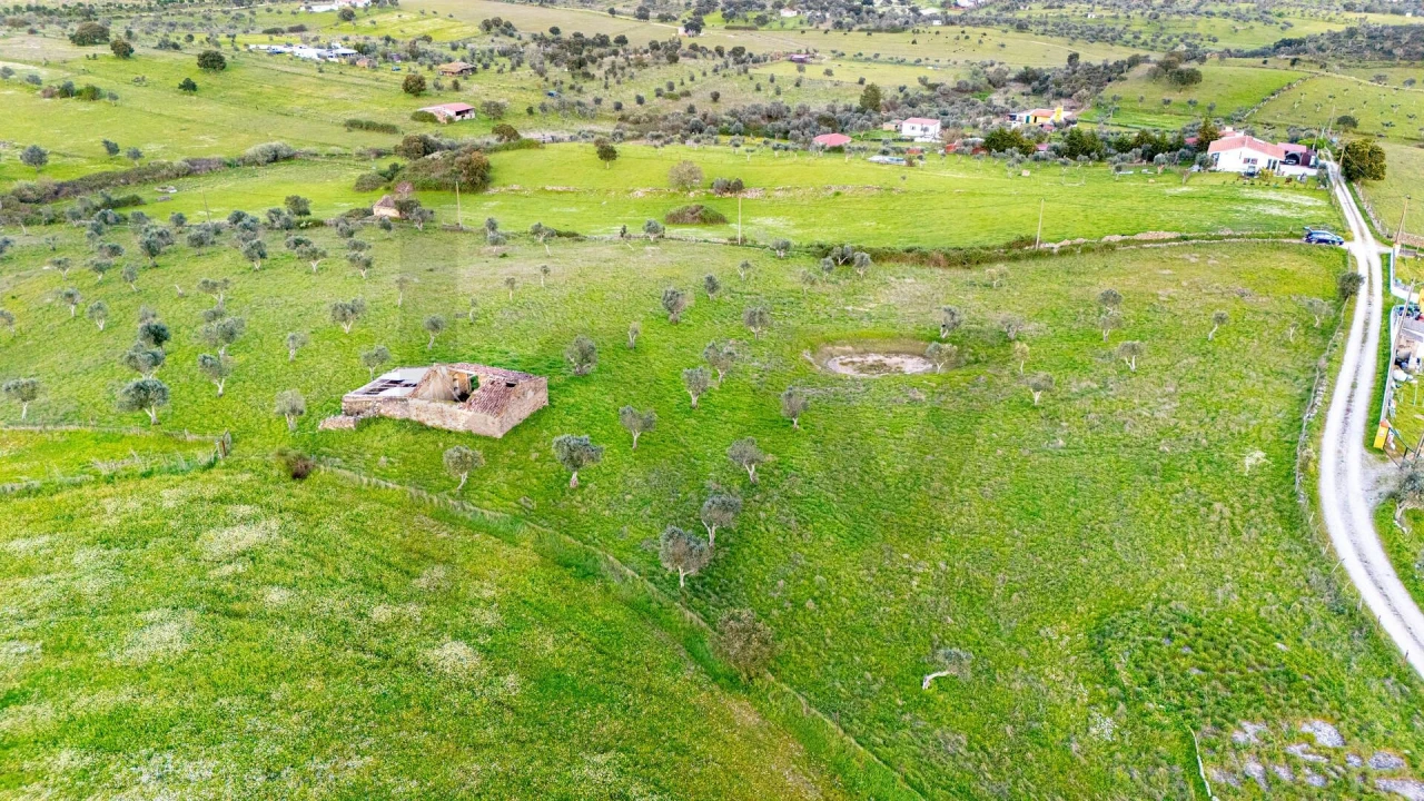 Terreno para Venda em Espírito Santo, Nossa Senhora da Graça e São Simão Foto 20