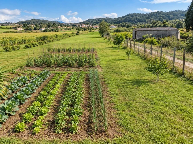 Terreno para Venda em Taveiro, Ameal e Arzila Foto 5