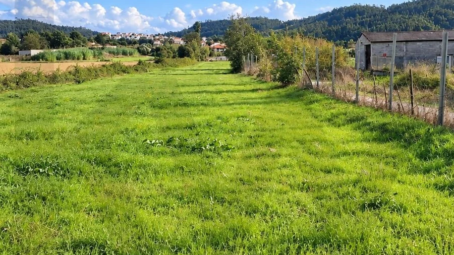 Terreno para Venda em Taveiro, Ameal e Arzila