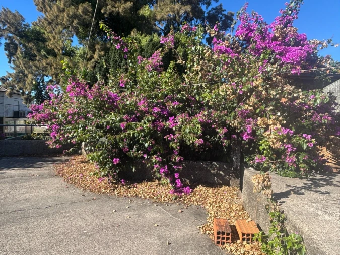 Moradia T5 para Venda em Requeixo, Nossa Senhora de Fátima e Nariz Foto 6