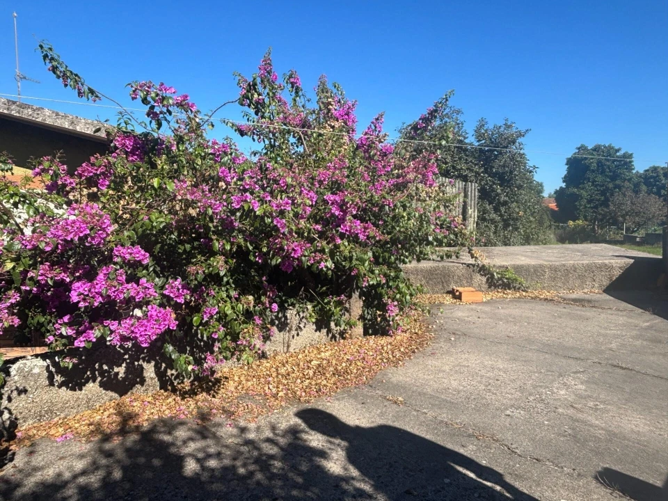 Moradia T5 para Venda em Requeixo, Nossa Senhora de Fátima e Nariz Foto 4