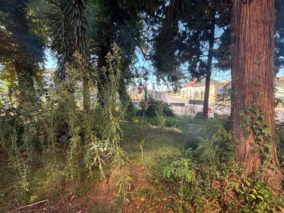 Moradia T5 para Venda em Requeixo, Nossa Senhora de Fátima e Nariz Foto 30