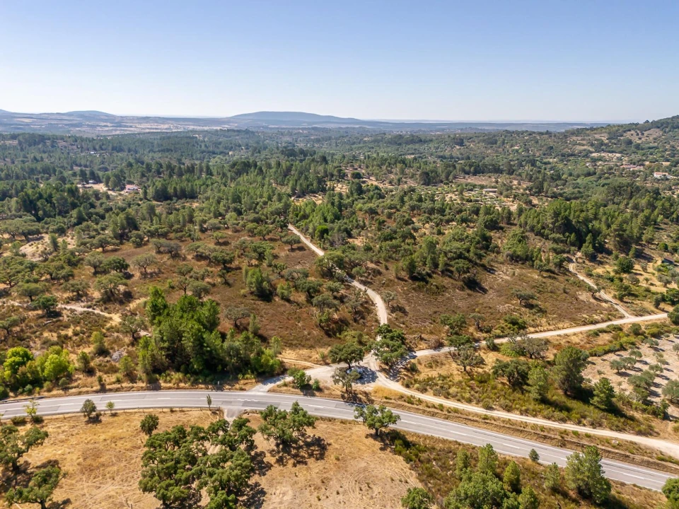 Terreno para Venda em Monsanto e Idanha-A-Velha Foto 9