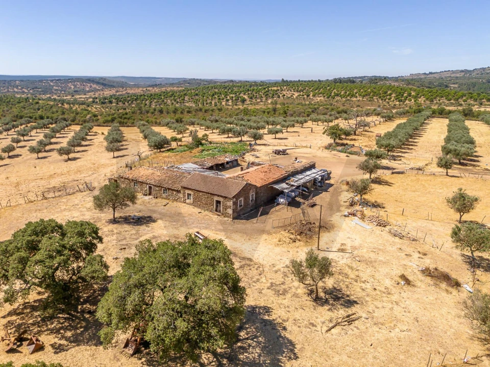 Terreno para Venda em Monsanto e Idanha-A-Velha Foto 1