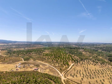 Terreno para Venda em Monsanto e Idanha-A-Velha