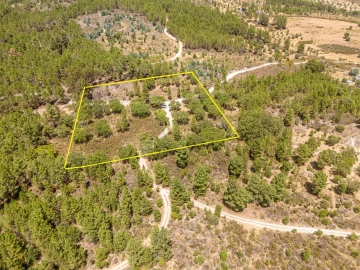 Terreno para Venda em Monsanto e Idanha-A-Velha