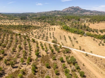 Terreno para Venda em Monsanto e Idanha-A-Velha