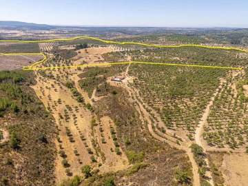 Terreno para Venda em Monsanto e Idanha-A-Velha