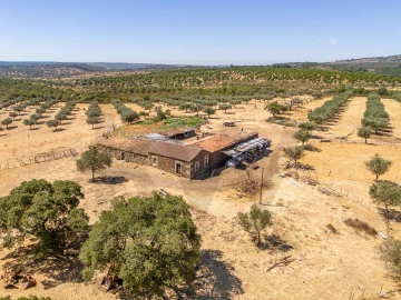 Terreno para Venda em Monsanto e Idanha-A-Velha