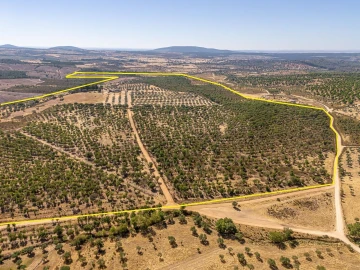Terreno para Venda em Monsanto e Idanha-A-Velha