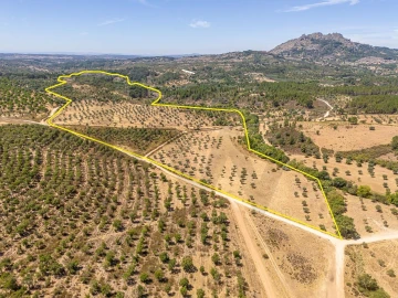 Terreno para Venda em Monsanto e Idanha-A-Velha