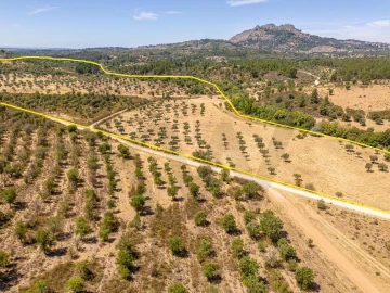 Terreno para Venda em Monsanto e Idanha-A-Velha