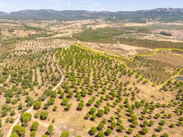 Terreno para Venda em Monsanto e Idanha-A-Velha
