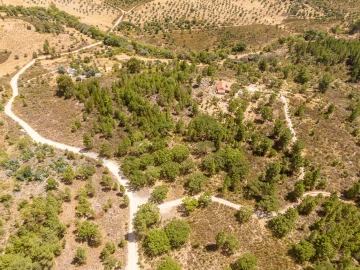 Terreno para Venda em Monsanto e Idanha-A-Velha
