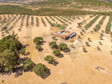 Terreno para Venda em Monsanto e Idanha-A-Velha