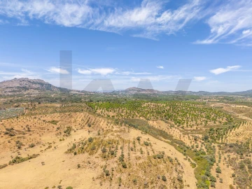 Terreno para Venda em Monsanto e Idanha-A-Velha