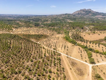 Terreno para Venda em Monsanto e Idanha-A-Velha