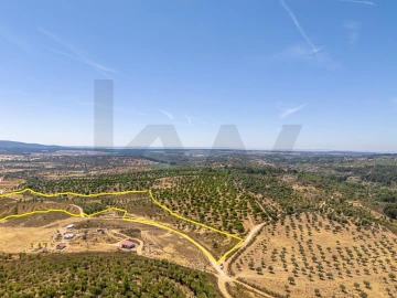 Terreno para Venda em Monsanto e Idanha-A-Velha