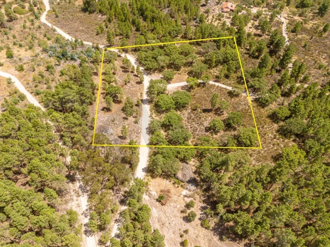 Terreno para Venda em Monsanto e Idanha-A-Velha Foto 29