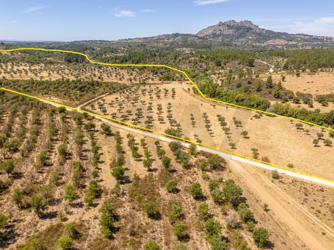 Terreno para Venda em Monsanto e Idanha-A-Velha Foto 15