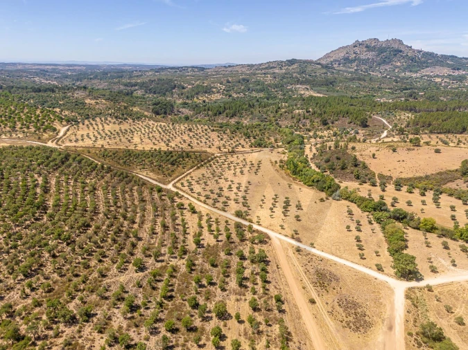 Terreno para Venda em Monsanto e Idanha-A-Velha Foto 14