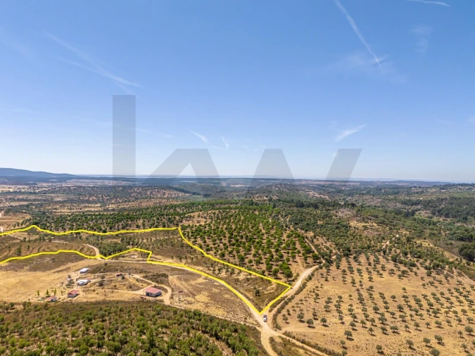 Terreno para Venda em Monsanto e Idanha-A-Velha Foto 20