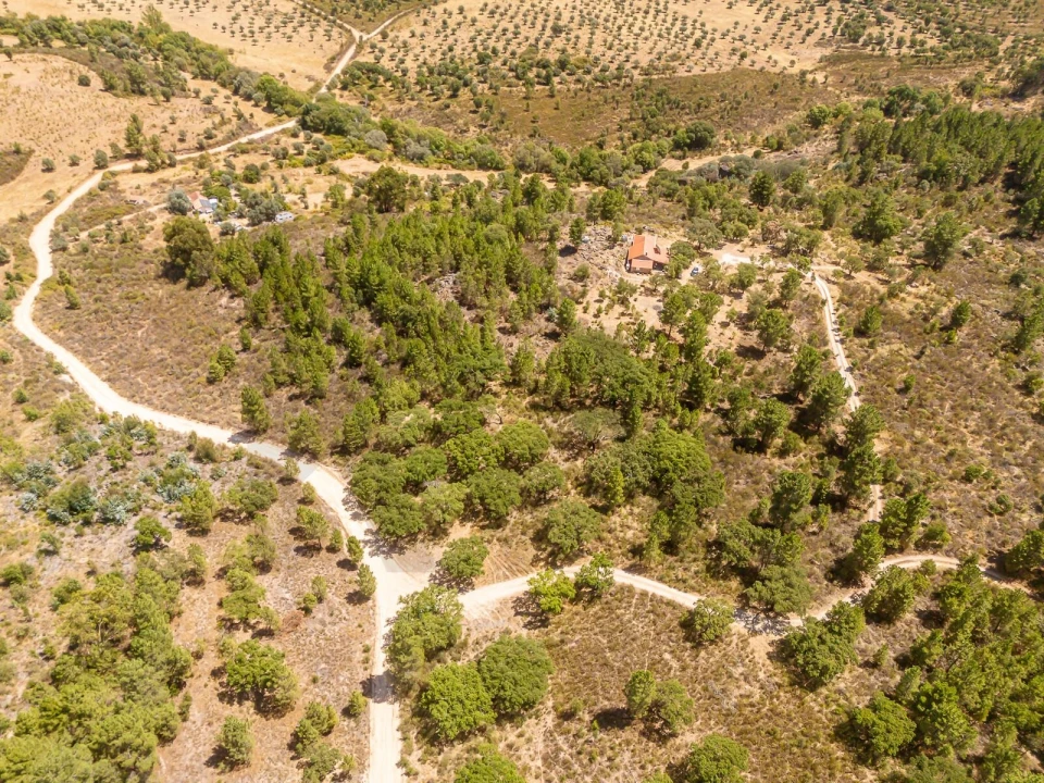 Terreno para Venda em Monsanto e Idanha-A-Velha Foto 27