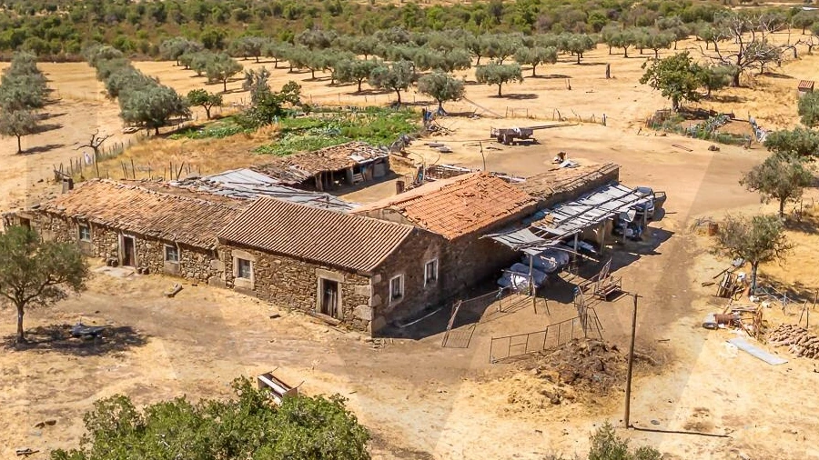 Terreno para Venda em Monsanto e Idanha-A-Velha