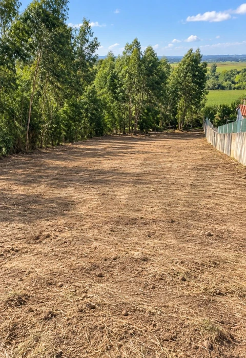 Terreno para Venda em Santo Varão