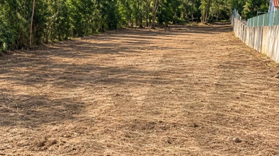 Terreno para Venda em Santo Varão