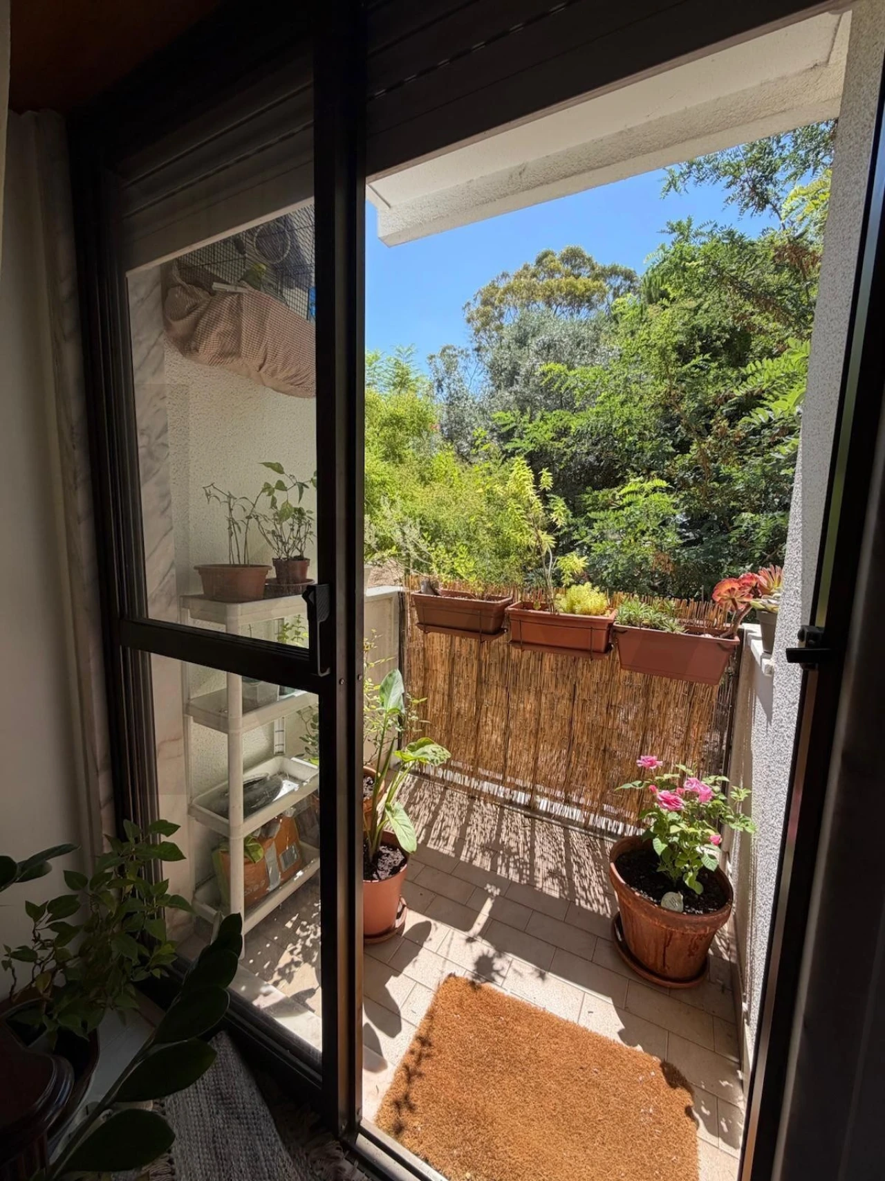 Apartamento T2 para Arrendamento em Águas Livres Foto 16